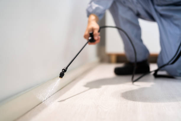 Licensed Termite Control service in Mill City, OR - Nex Pest Control