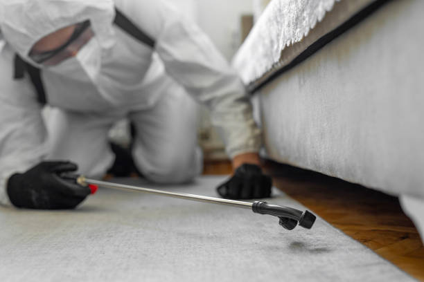 Professional Termite Control technician working in Mill City, OR