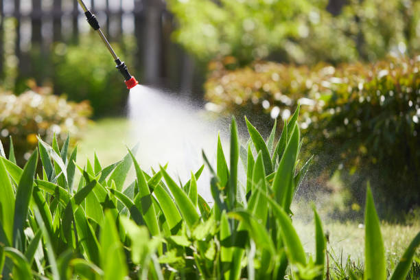 24/7 Emergency Termite Control experts in Mill City, OR