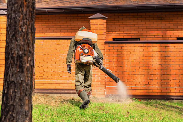 Top rated local Termite Control specialists in Mill City, OR